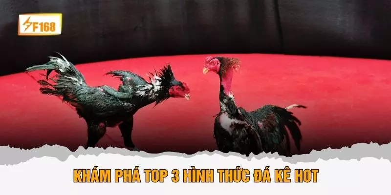 Khám phá top 3 hình thức đá kê hot